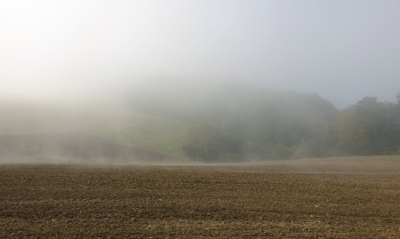 die Nebel lichten sich allmählich